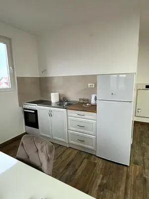 a kitchen with a white refrigerator and a sink at Mimura stan 2 in Belgrade