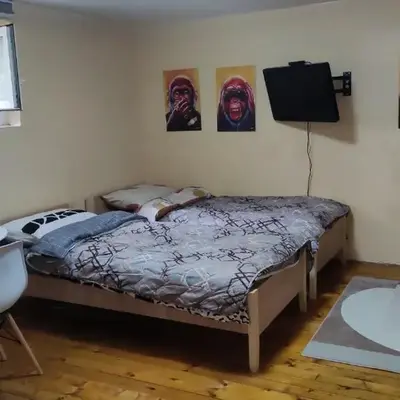 Goxy flat
