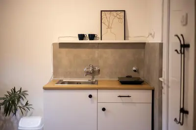 a bathroom with a sink and a counter with a toilet at Tiny apartment in Belgrade