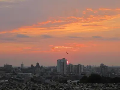 a city skyline with a bird flying in the sunset at Belgrade Panoramic View Large Terrace Free Parking in Belgrade