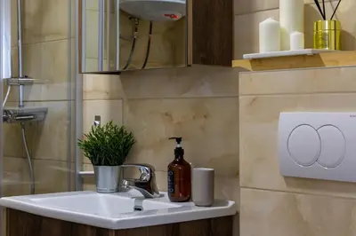 a bathroom sink with a bottle of soap on it at Deluxe Kosmaj Residence in Rogača