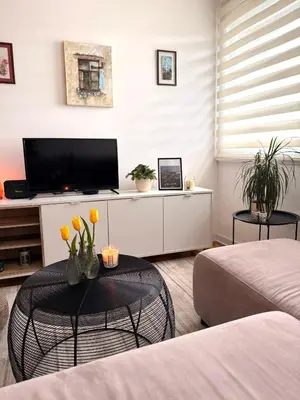 a living room with a tv and a table at Ada Zen in Belgrade