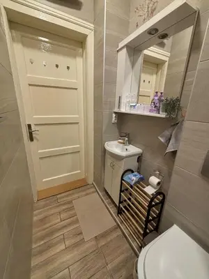 a small bathroom with a toilet and a sink at Apartment Dana in Belgrade