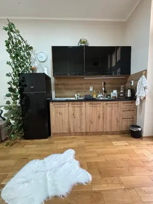 a kitchen with a black refrigerator and a white rug at Apartment Dana in Belgrade