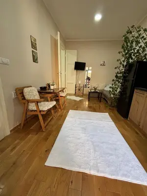 a living room with a white rug on a wooden floor at Apartment Dana in Belgrade