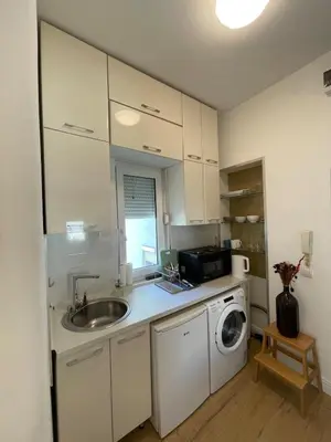 a kitchen with a sink and a washing machine at Hilton View Cozy Njegoseva Vracar Apartment - Sleeps 4 in Belgrade