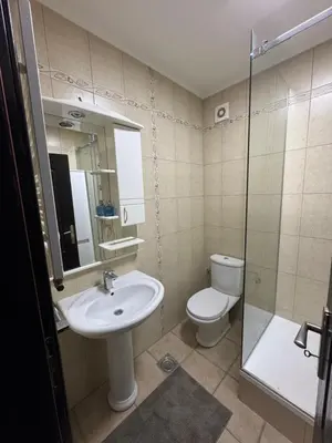 a bathroom with a sink and a toilet and a shower at Apartman Centar in Obrenovac