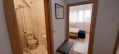a bathroom with a toilet and a walk in shower at Apartman Vojvoda in Belgrade