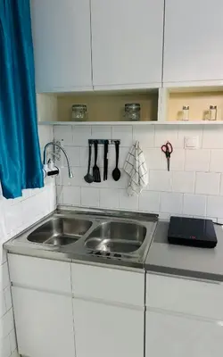 a kitchen with a sink and a counter top at Vračarska kućica in Belgrade