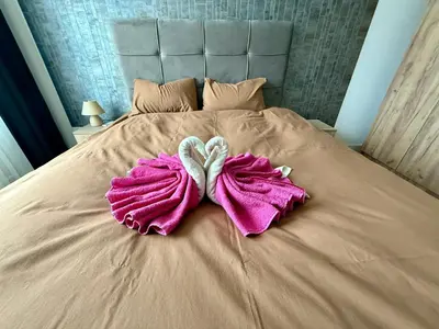 a bed with two towels in the shape of hearts at Q4 Comfort Apartment in Belgrade