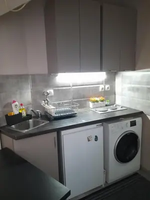 a kitchen with a sink and a washing machine at Visoki Stevan Apartments in Belgrade