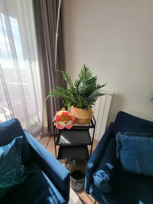 a living room with a couch and a plant on a table at BW Aqua LUX, river view, parking free in Belgrade