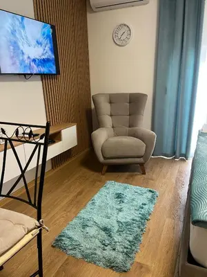a living room with a chair and a rug at Apartman Lučiano Aranđelovac in Arandjelovac