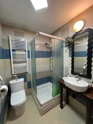 a bathroom with a shower and a toilet and a sink at Mama in Belgrade
