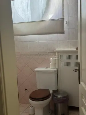 a bathroom with a toilet with a wooden toilet seat at Apartman V Dedinje in Belgrade