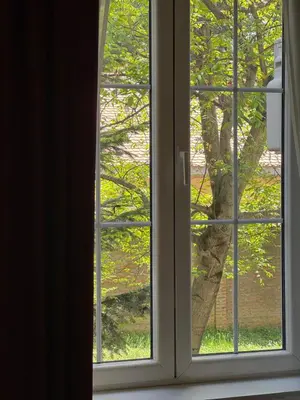 a window with a view of a tree at Apartman V Dedinje in Belgrade