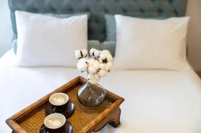 a tray with a vase of flowers on a bed at Emi Quiet & Cozy Stay in Belgrade