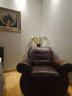 a brown leather chair in a room with a painting at Apartment Eleon in Belgrade