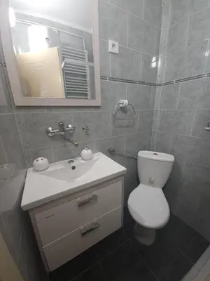 a bathroom with a toilet and a sink and a mirror at Apartment Eleon in Belgrade