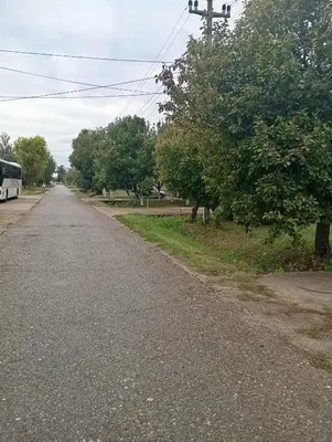 an empty road with a bus parked on the side at Padina-Kovacica in Padina