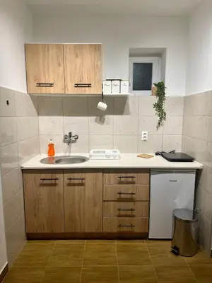 a kitchen with a sink and a dishwasher at Apartman 8 in Ruma