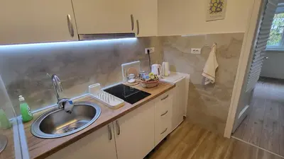 a small kitchen with a sink and a counter at Belgrade City Lux in Belgrade