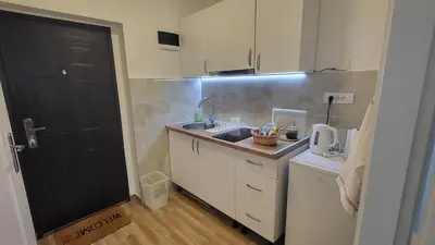 a small kitchen with a sink and a black door at Belgrade City Lux in Belgrade