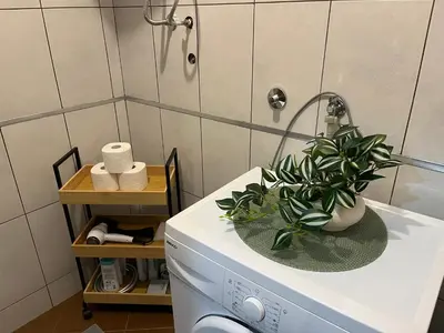 a washing machine with a plant on top of it at Liberte Apartments Voždovac in Belgrade