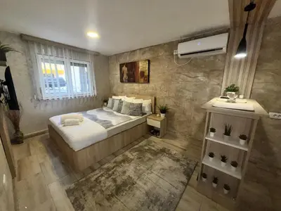 a bedroom with a bed and a sink in it at Entire Place In Zemun in Belgrade