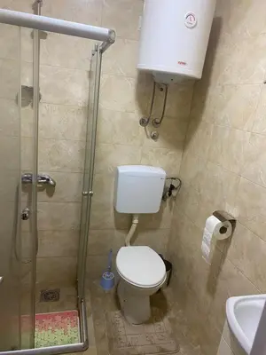 a bathroom with a toilet and a shower and a sink at Apartmani Amon in Meljak