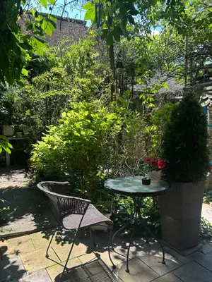 a table and a chair in a garden at Lux Beba Pancevo in Pančevo