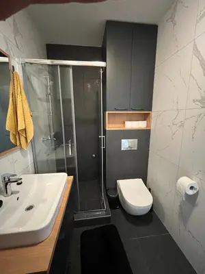 a bathroom with a shower and a toilet and a sink at Sunnyhome in Belgrade