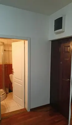 a bathroom with a toilet and a white door at Ogi apartman in Belgrade