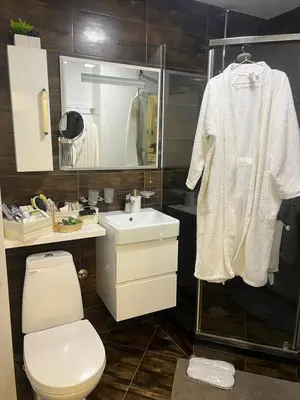 a bathroom with a toilet and a sink at Mona Lux apartman in Arandjelovac