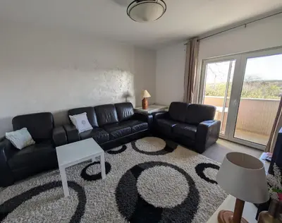 a living room with a black leather couch and a rug at Vila Restart Čortanovci in Čortanovci