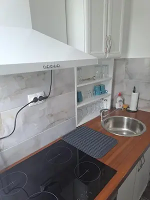 a small kitchen with a sink and a counter at Mystique apartment Vračar in Belgrade