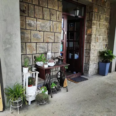 a table with potted plants on it next to a building at HostelChe Guest House in Smederevo