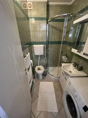 a bathroom with a shower and a toilet and a sink at Apartman Miladinović in Belgrade