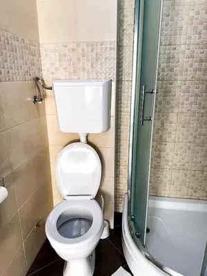 a bathroom with a toilet and a shower at Limpio Apartman in Belgrade