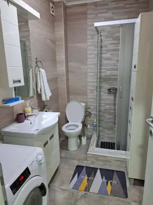 a bathroom with a shower and a toilet and a sink at Stan na dan Ub in Ub