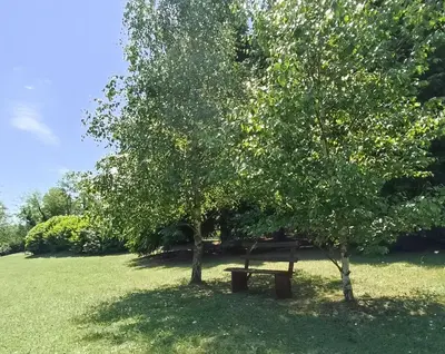 a wooden bench under a tree in a field at Ranch V8 Kosmaj in Rogača