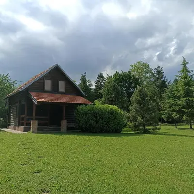 a log cabin in a grassy field with trees at Ranch V8 Kosmaj in Rogača