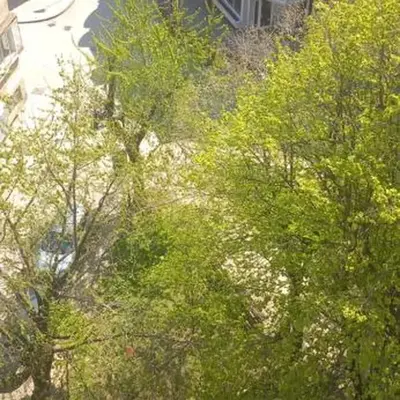 Dunav centar 7