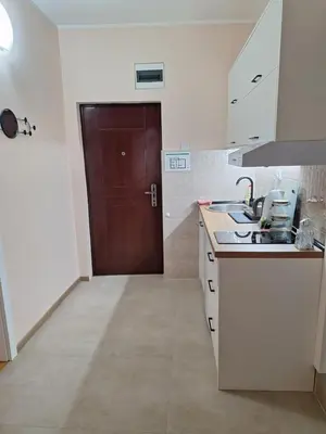 a kitchen with a brown door and a sink at Divna in Arandjelovac