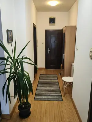 a hallway with a potted plant and a door at City center Dorcol free parking in Belgrade