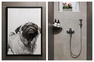 a bathroom with a picture of a dog in a shower at Creative Shelter 108m2 with Balcony Old Town in Belgrade