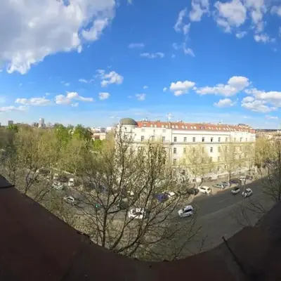 Vuk 1