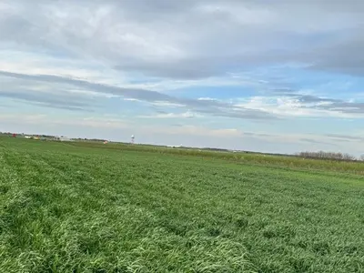 a large field of green grass with a cloudy sky at Belgrade Airport single bed in Surčin