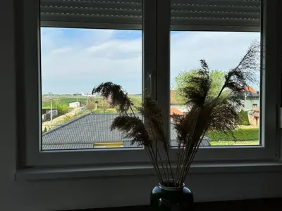 a vase with some plants in a window at Belgrade Airport single bed in Surčin