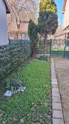 a backyard with a fence and a yard with grass at Wooden house Ada in Ada Ciganlija